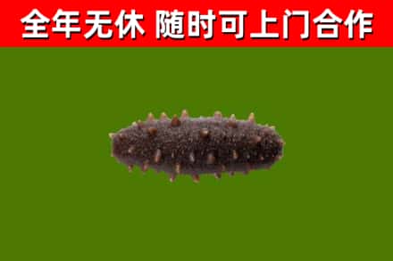 色尼区烟酒回收干海参.jpg